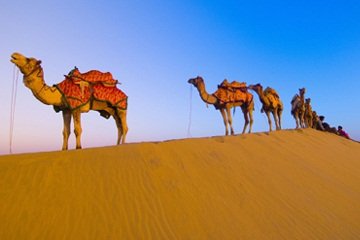 Wahoe India Travels